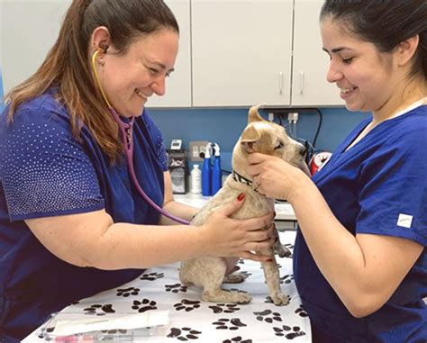 Vip petcare mobile clinics - Next Date: April 7, 2024 4:00PM - 5:30PM. 11409 N. Dale Mabry. Tampa FL 33618 US. vet clinic. Clinic Information. Get Directions. VIP Petcare offers vet-recommended vaccines and minor ear and eye care at an affordable price. Visit us for your pet care needs. No appointment needed!